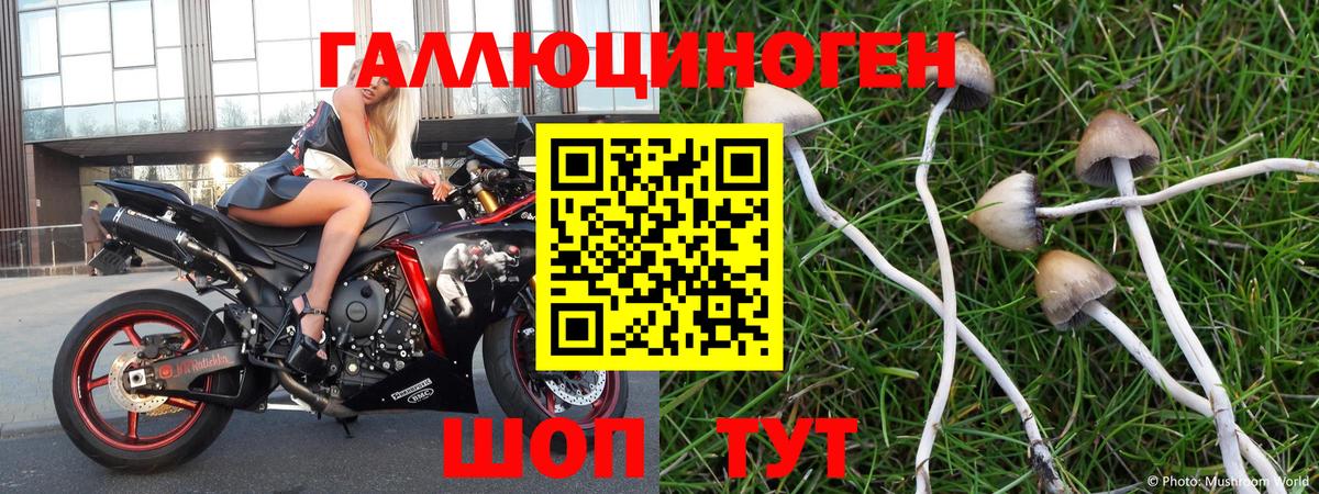Рославль  Галлюциногенные грибы Cubensis  Вход с VPN 
