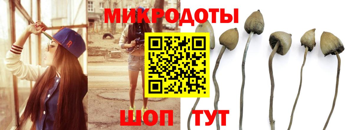Галлюциногенные грибы мухоморы Рославль